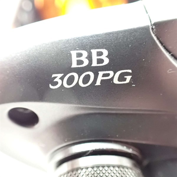２１バルケッタ３００ＰＧ